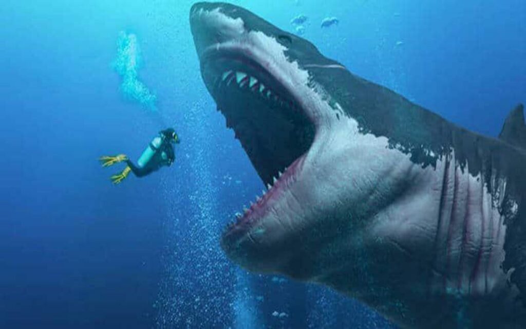 cá mập megalodon