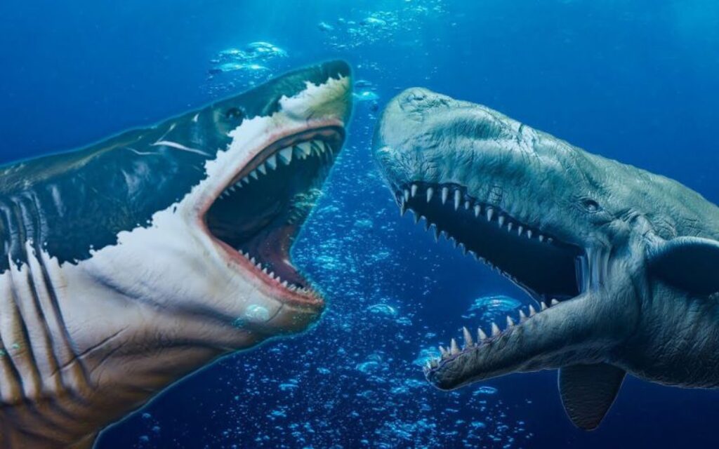 cá mập megalodon