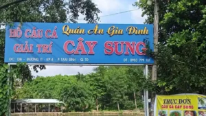 hồ câu cây sung mặt tiền