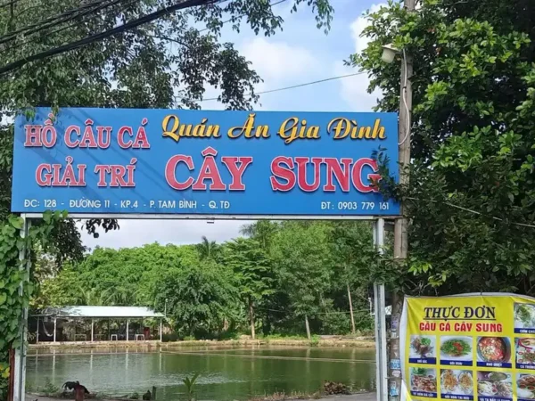 hồ câu cây sung mặt tiền