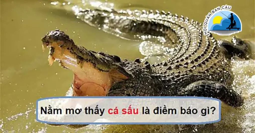 Mơ thấy cá sấu