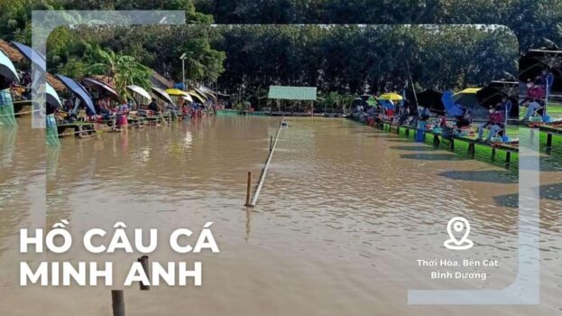 hồ câu cá minh anh