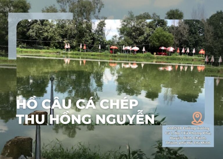 hồ câu cá chép Thu Hồng Nguyễn