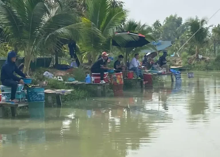 Hồ câu cá giải trí Minh Củ Mì