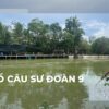 Hồ câu Sư Đoàn 9